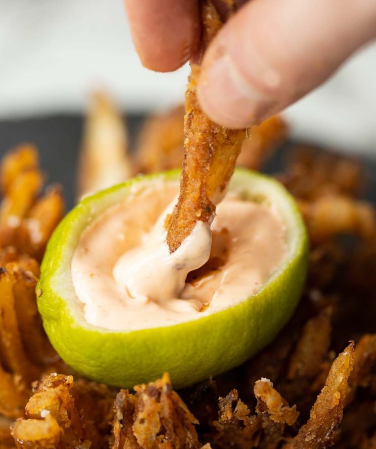 closeup shot of onion petals dunking into small dip