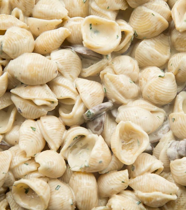 closeup overhead shot of creamy mushroom pasta in skillet