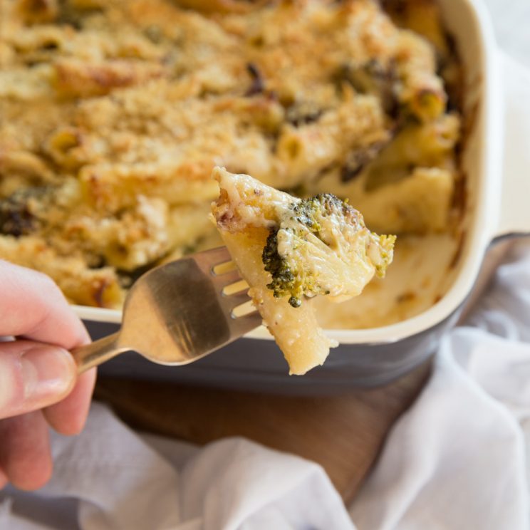 Broccoli Pasta Bake on fork close up to camera