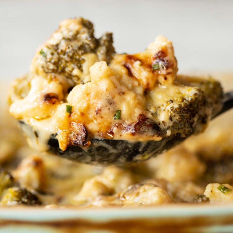 close up shot of broccoli cauliflower cheese on black serving spoon