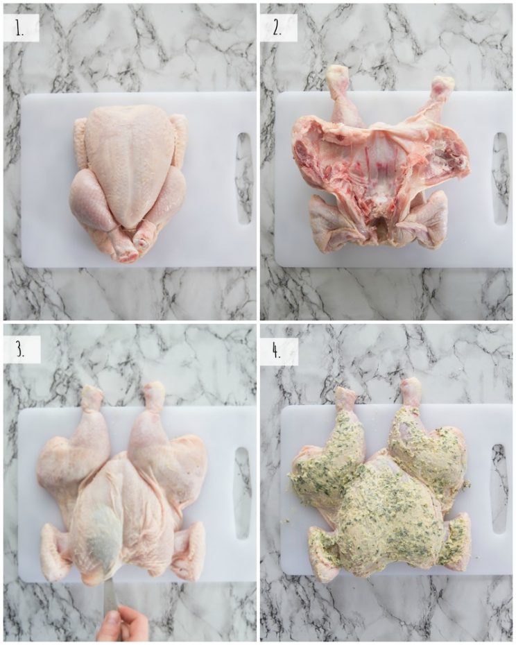 How to Spatchcock a Chicken - step by step