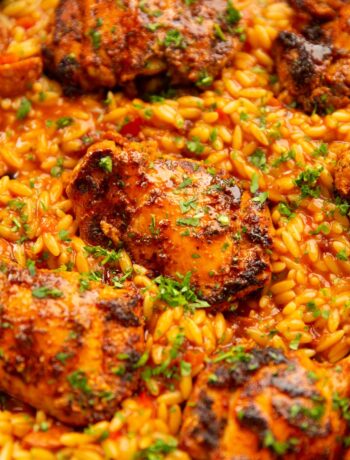 close up shot of spanish chicken orzo in pan garnished with parsley