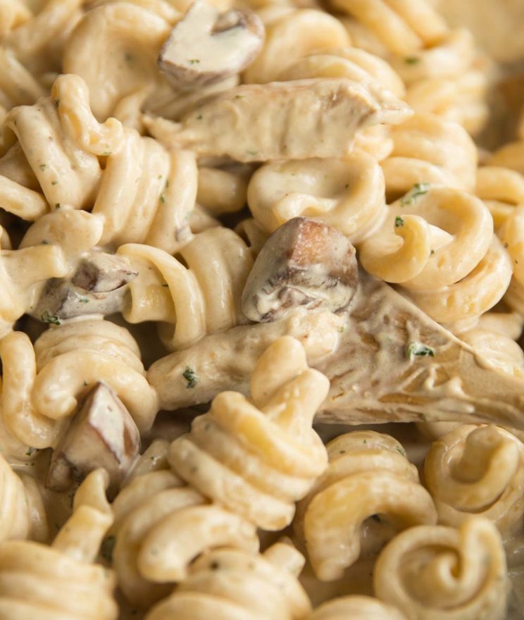 closeup shot of chicken mushroom pasta in skillet, focus on mushroom