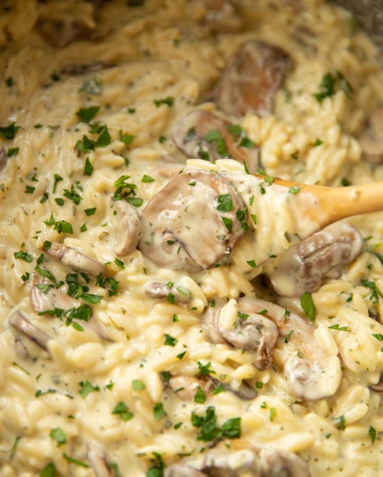 closeup shot of mushroom orzo in large pot with wooden spoon digging in