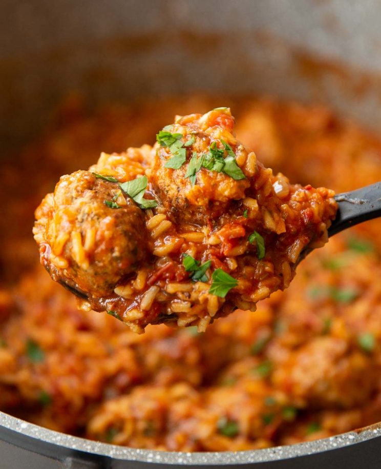 closeup shot of meatballs and rice resting on serving spoon above pot