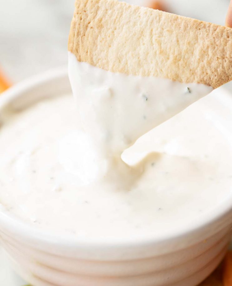 closeup shot of tortilla chip dunking into dip