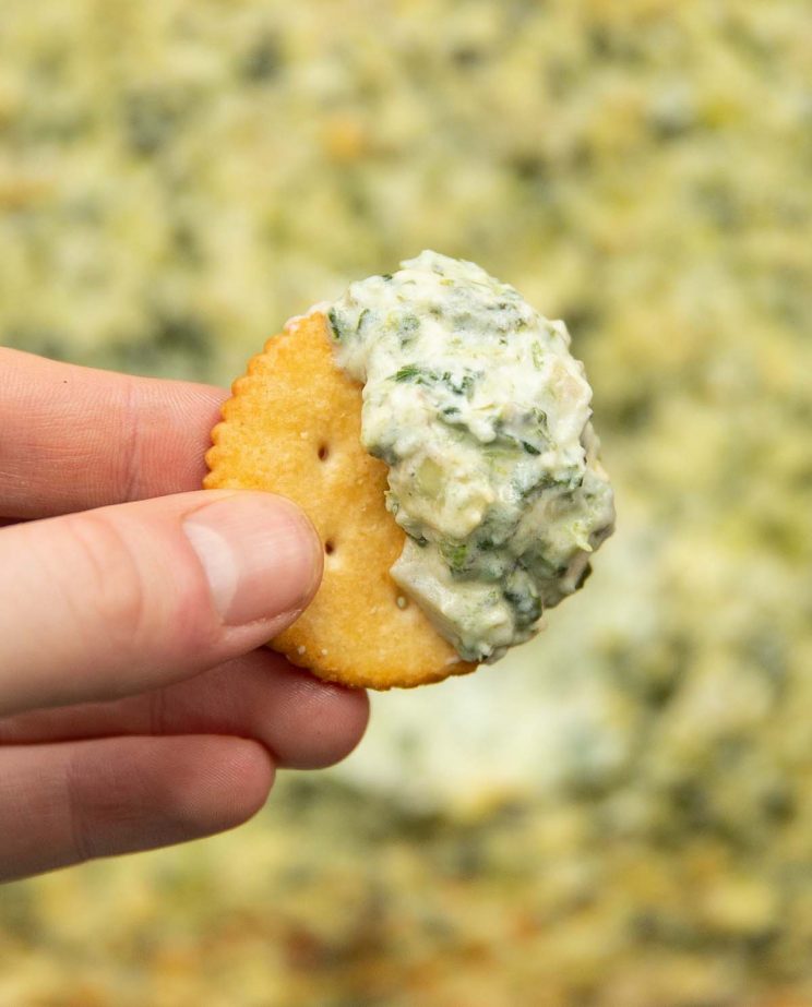 overhead shot of hand holding Ritz cracker with dip on half of it