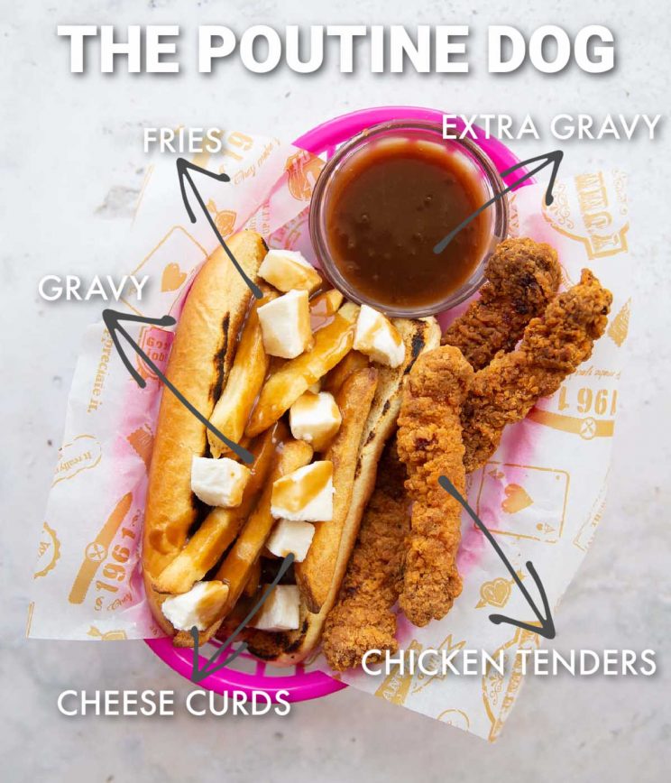 overhead shot of poutine hot dog with labelled ingredients