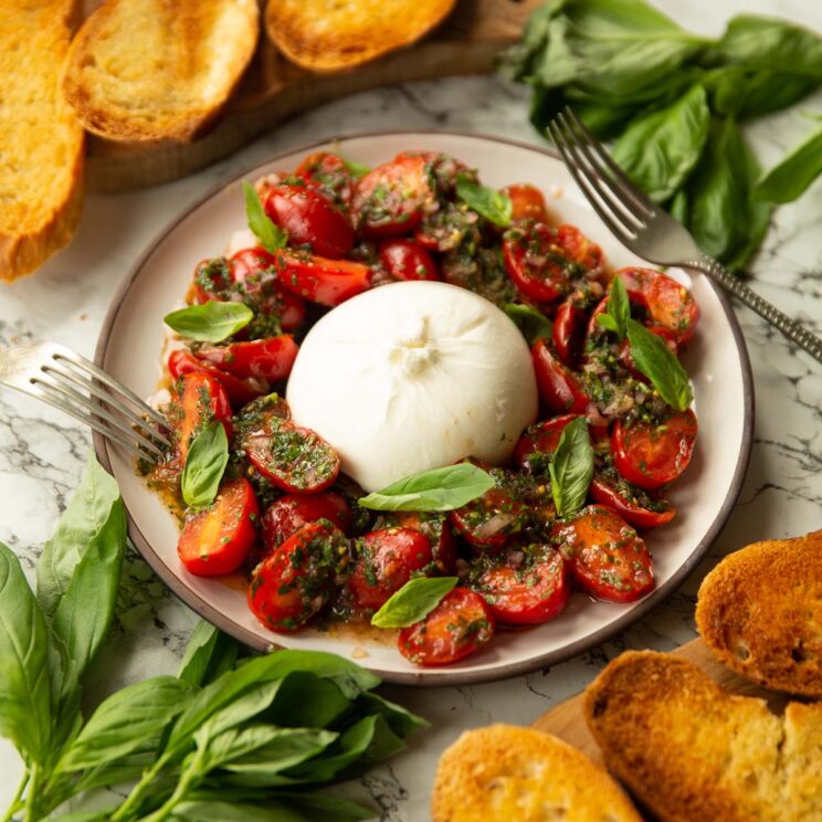 tomato burrata salad served on small white plate surrounded by fresh basil, toasted bread and 2 silver forks