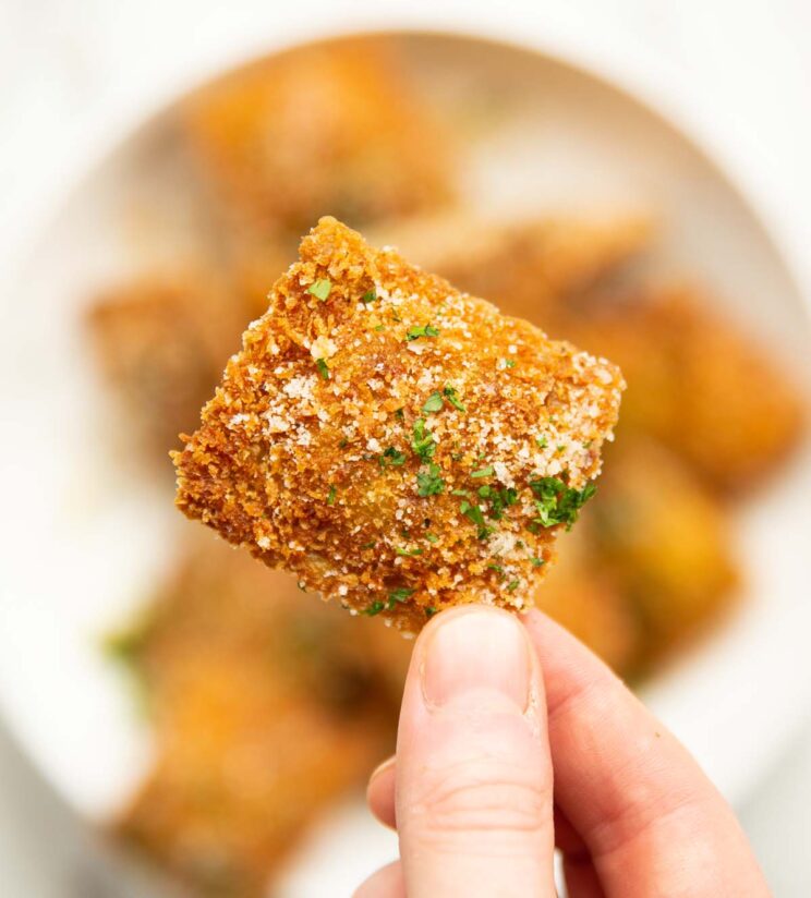 close up overhead shot of hand holding fried ravioli