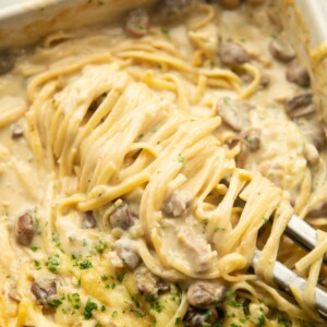 close up shot of pasta tongs twirling chicken tetrazzini in baking dish