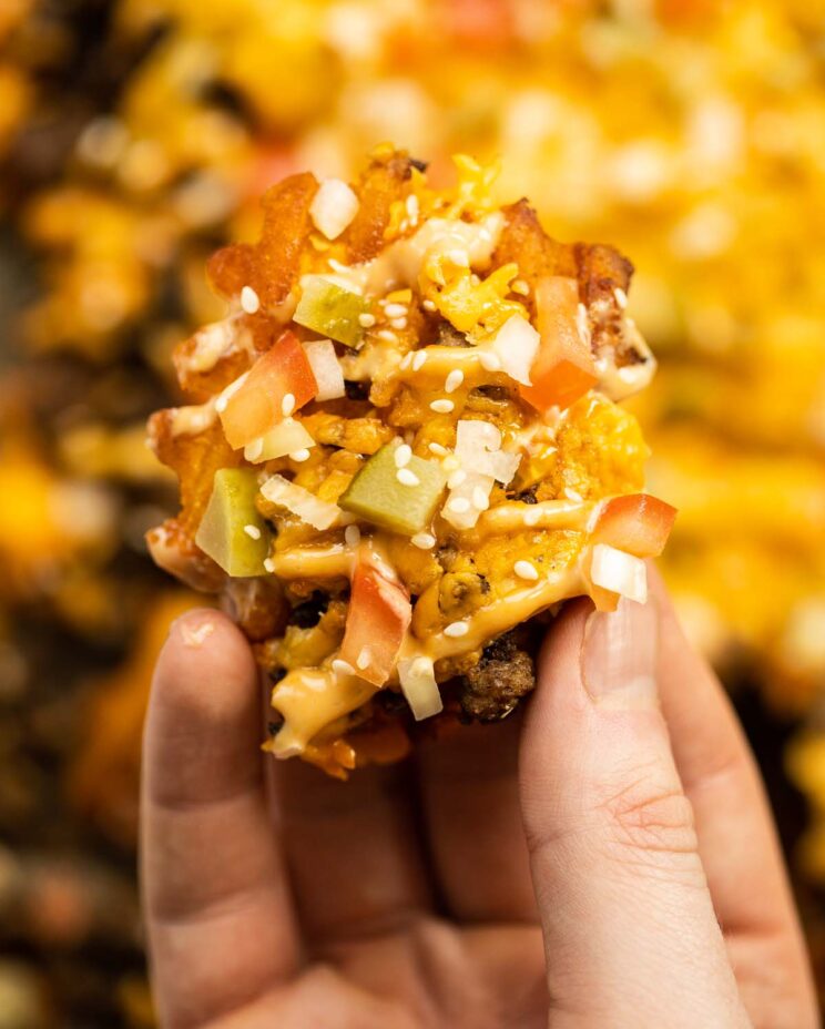 close up overhead shot of hand holding loaded waffle fry