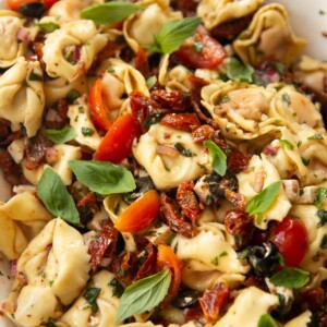 Sun dried tomato tortellini pasta salad in a large white bowl garnished with basil
