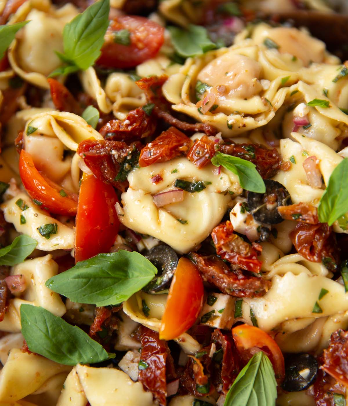 Sun Dried Tomato Tortellini Pasta Salad Don't Go Bacon My Heart