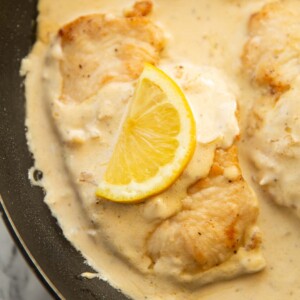 close up shot of creamy lemon chicken in pan with lemon wedge on top