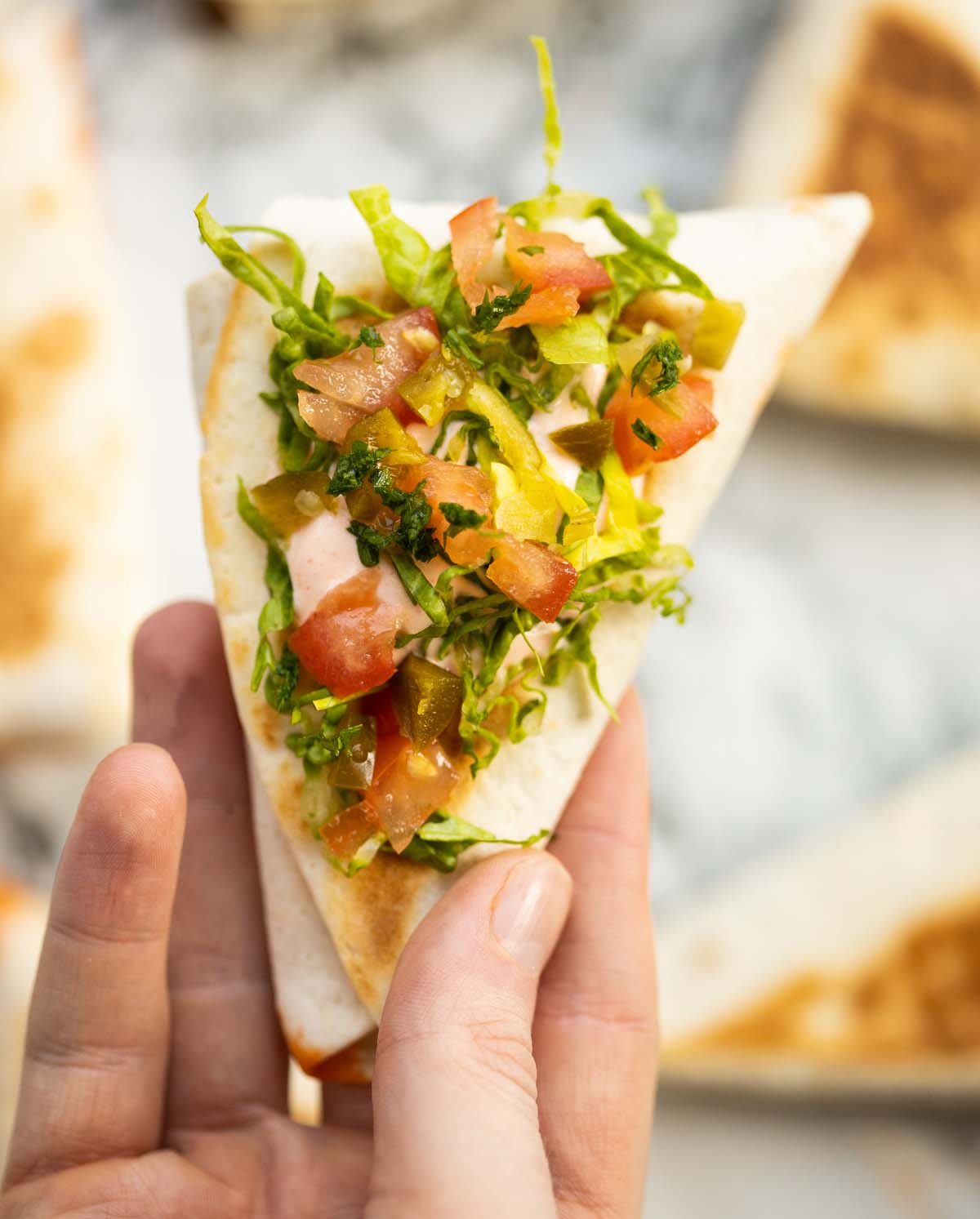 close up overhead shot of hand holding beef taco pocket
