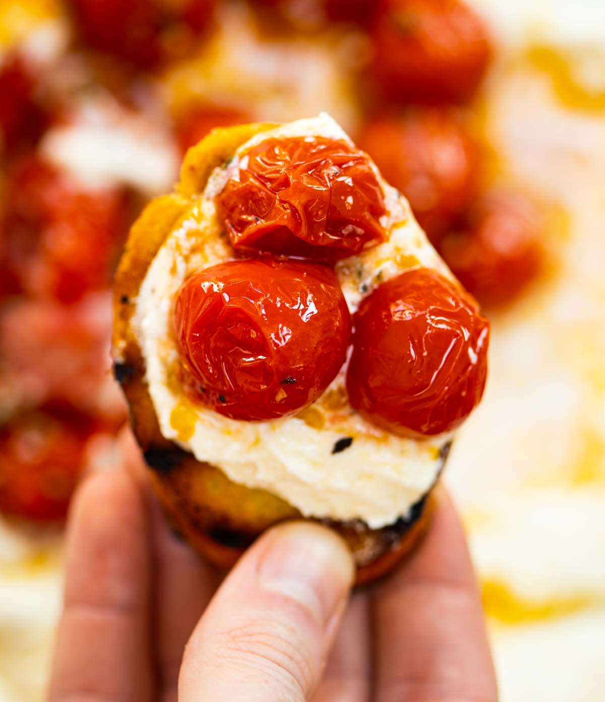 close up overhead shot of hand holding toast with cherry tomatoes with whipped feta