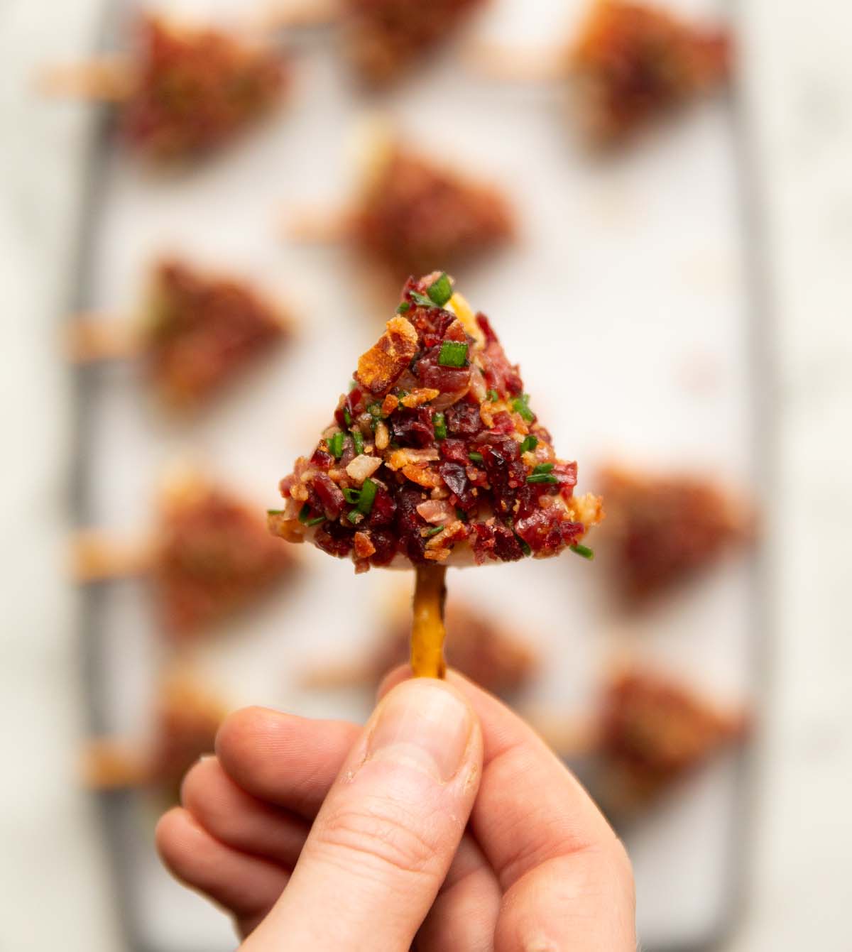 close up overhead shot of hand holding brie christmas tree